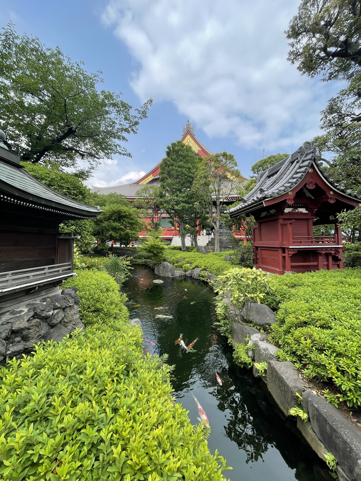 Tokyo- Koi Pond